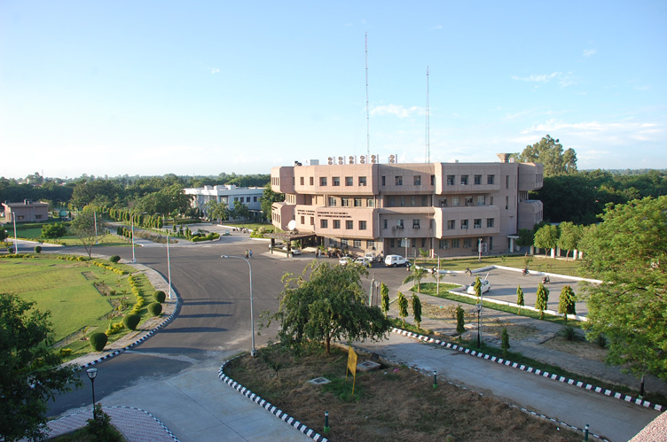 IIT Jalandhar